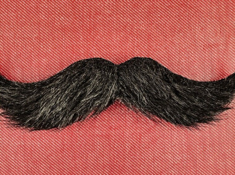 how to grow a moustache a guide to facial awareness lifestyle