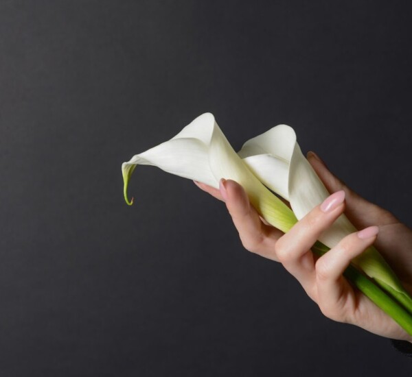 miller funeral home gretna va obituaries